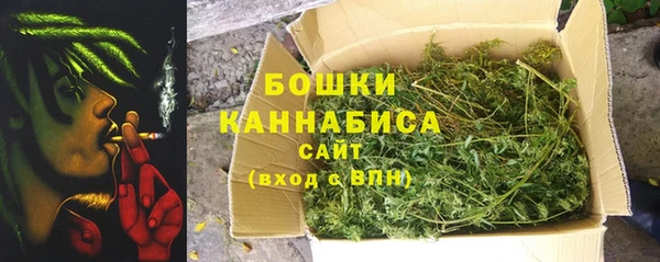 хмурый Козловка